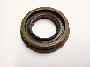 Differential Pinion Seal (Rear)